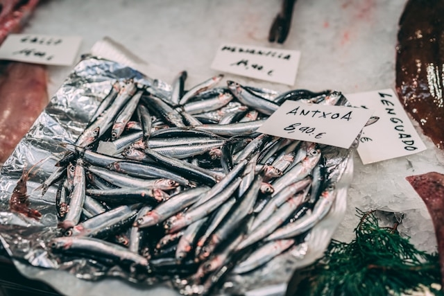 Anchovy, Salmon Anchovy, Salmon