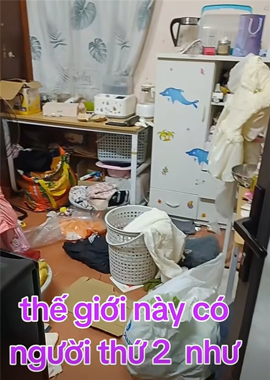 viendongonline.com
