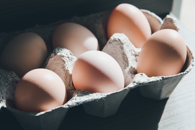 egg egg