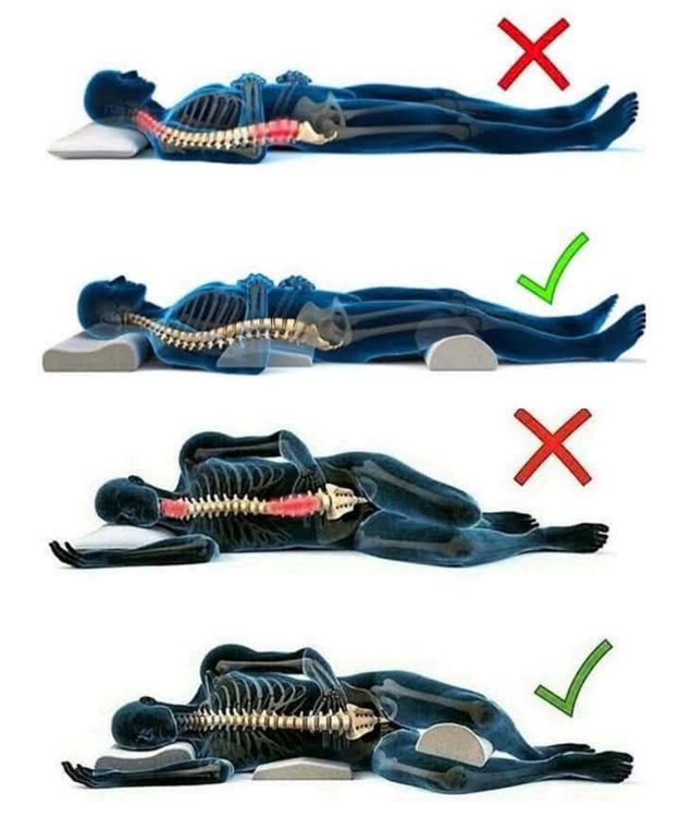 Cột sống Cột sống