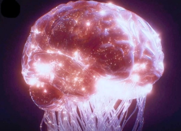 Brain AI Brain AI