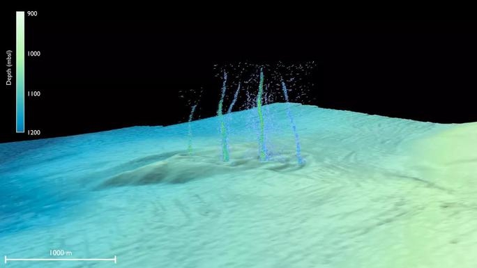 Các lỗ thủng bí ẩn dưới đáy biển – Ảnh: Science Advances