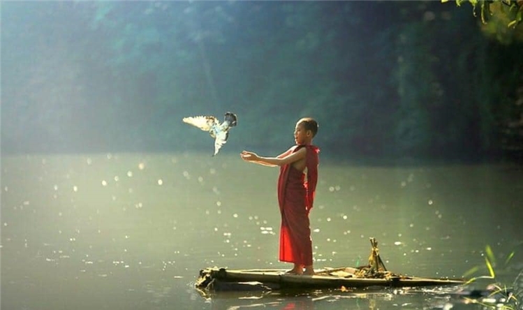 Đạo lý