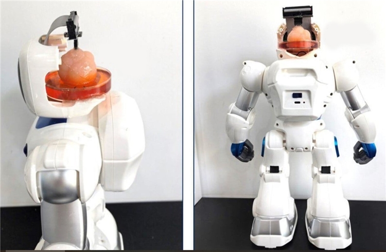 Robot TQ