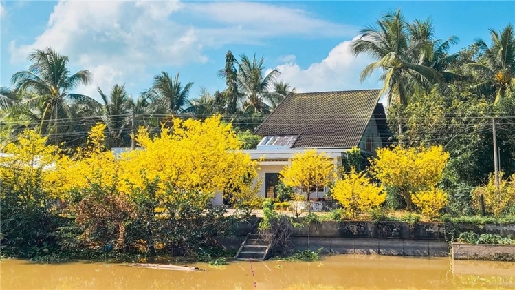 Tết VN