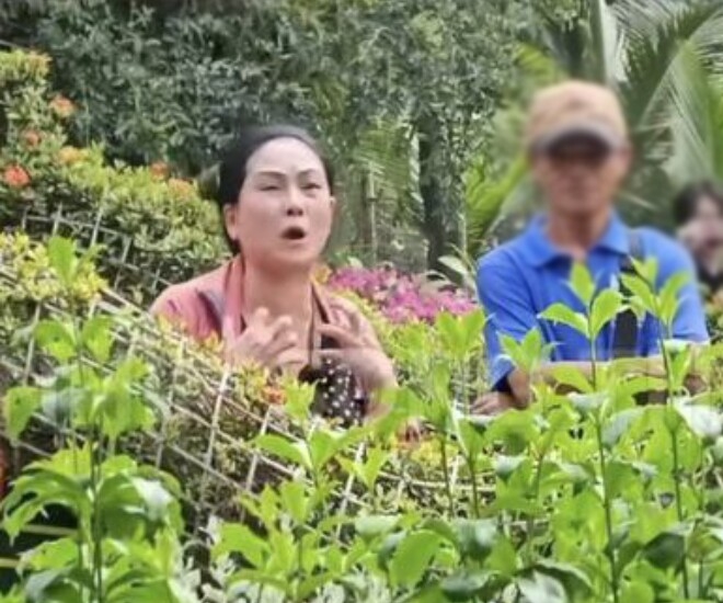 Vũ Linh