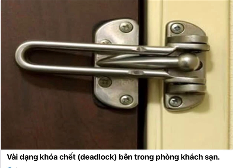 VN