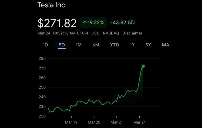 Tesla Share Index